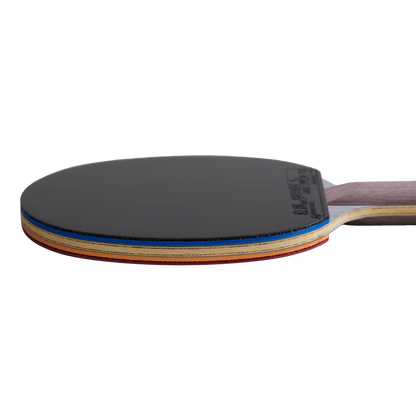 DHS Ma Long Classic Series Table Tennis Racket Set