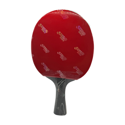 DHS Diamond Series Obsidian Table Tennis Racket