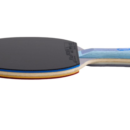 DHS TG Blue Table Tennis Racket