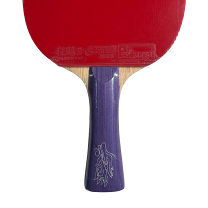 DHS Sun Yingsha Classic Series Table Tennis Racket Set