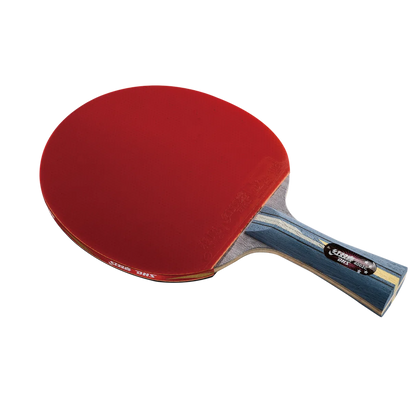 DHS 4 Star Carbon Fiber Table Tennis Racket